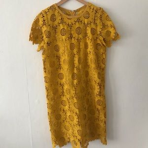 Ann Taylor Loft Yellow Sunflower Dress
